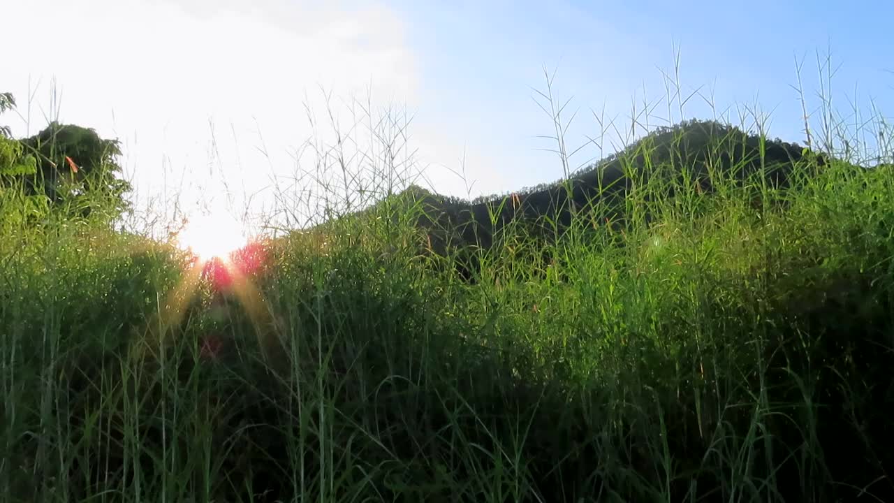 用阳光看山视频素材