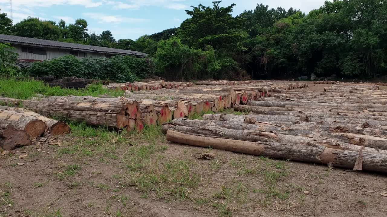 砍伐森林的原木在政府的田野上砍倒了堆视频素材