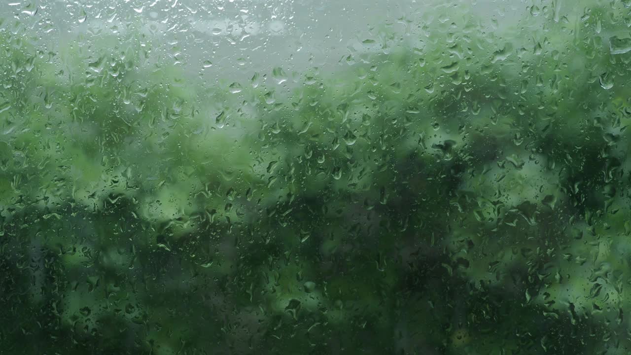 雨点落在窗户的下午。公寓或公寓客厅窗户花园在雨季。窗外模糊的雨，自然的树和天空。雨滴在窗口。风暴风的时刻。视频素材