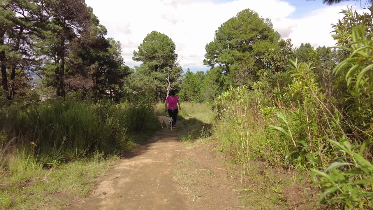 年轻的拉丁妇女与超重徒步旅行锻炼散步与她的狗在森林山附近的普埃布拉墨西哥视频素材