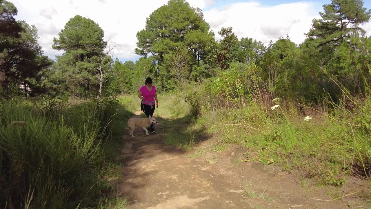 年轻的拉丁妇女带着超重的狗在墨西哥普埃布拉附近的森林山徒步旅行视频素材