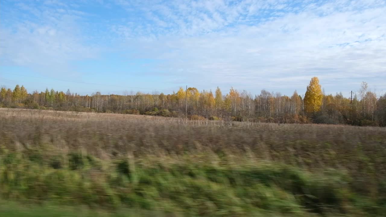 汽车在道路上飞驰，穿过秋天的田野和森林。通过汽车的侧窗在道路上运动。旅游与旅行，旅行与旅行的概念。美丽的自然和风景。阳光明媚的天气。视频素材