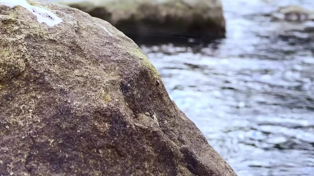 在乌克兰喀尔巴阡山脉，秋天的山河在美丽的森林中流淌。自然和旅游的概念视频素材