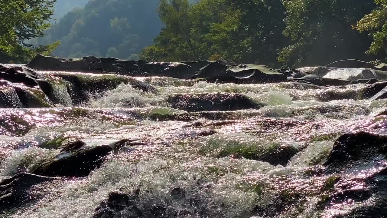 在乌克兰喀尔巴阡山脉，秋天的山河在美丽的森林中流淌。自然和旅游的概念视频素材