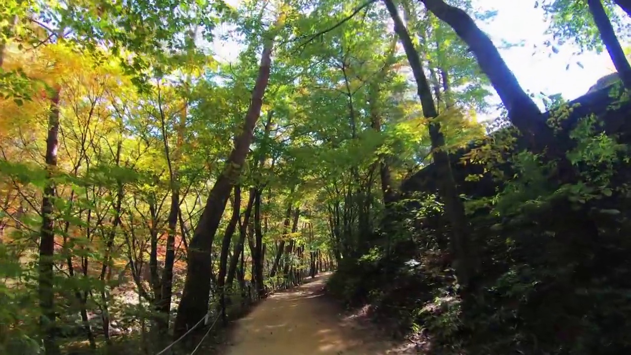 秋日走在chiak山枫树路上的风景/韩国江原道原州市视频素材