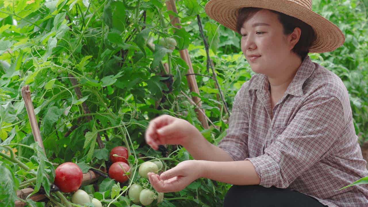 女人的肖像与新鲜采摘的西红柿视频素材