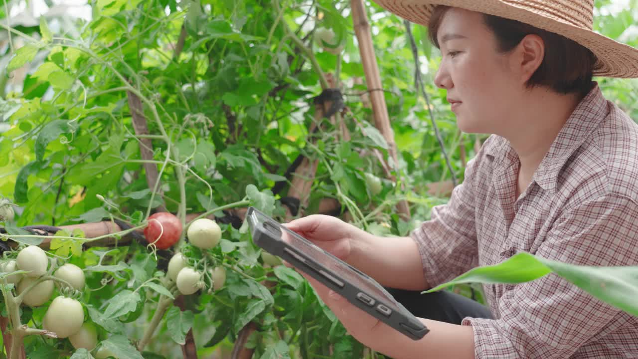 一名妇女在农场使用电子平板电脑视频素材