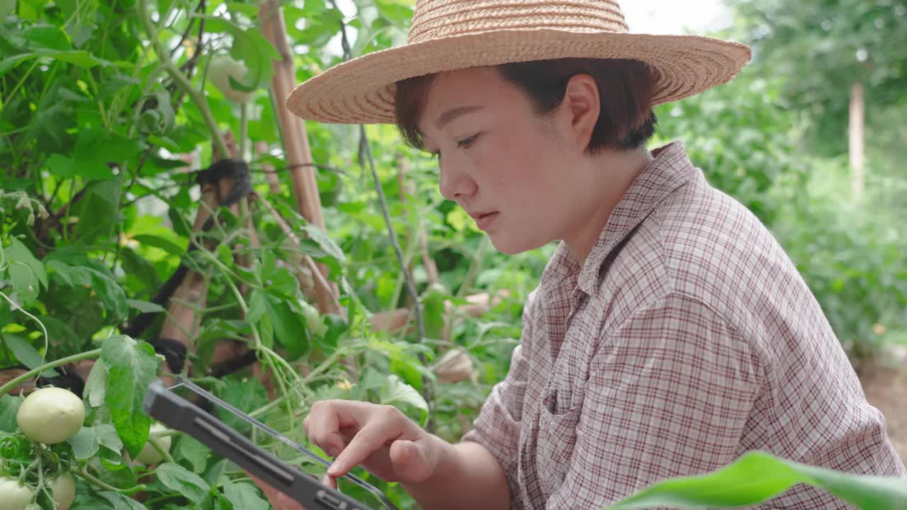 一名妇女在农场使用电子平板电脑视频素材