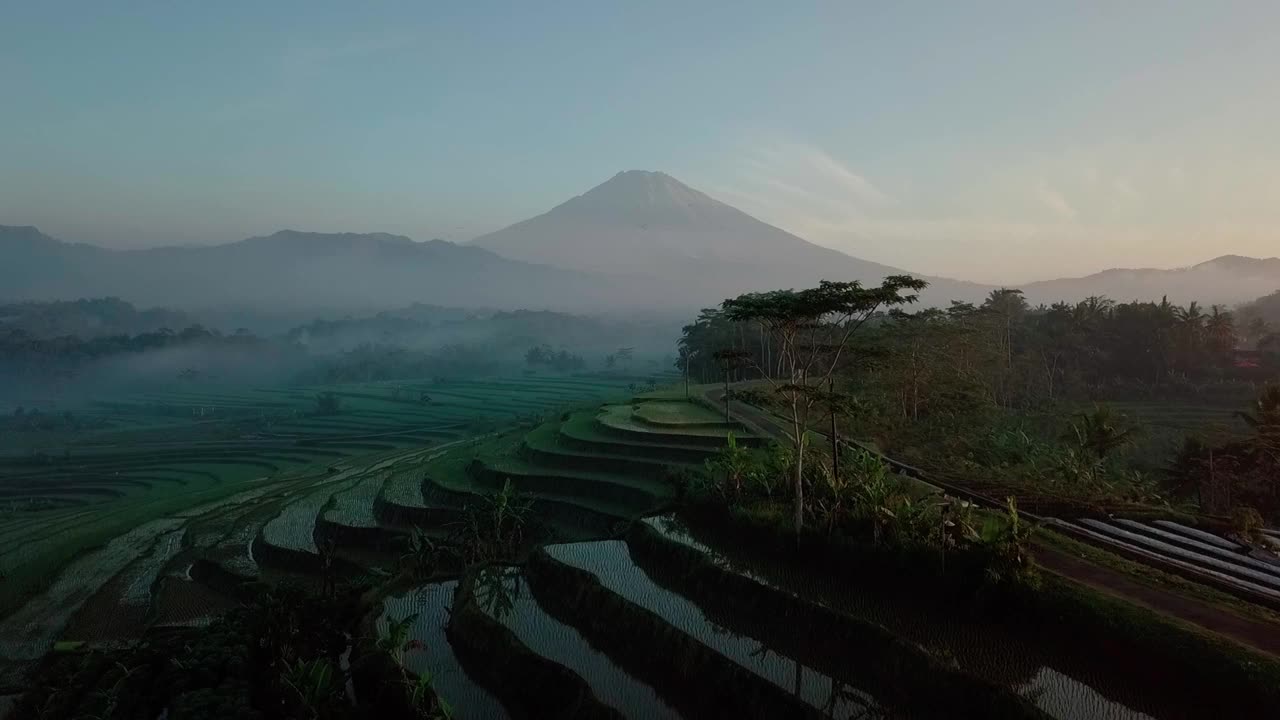 农田视频素材