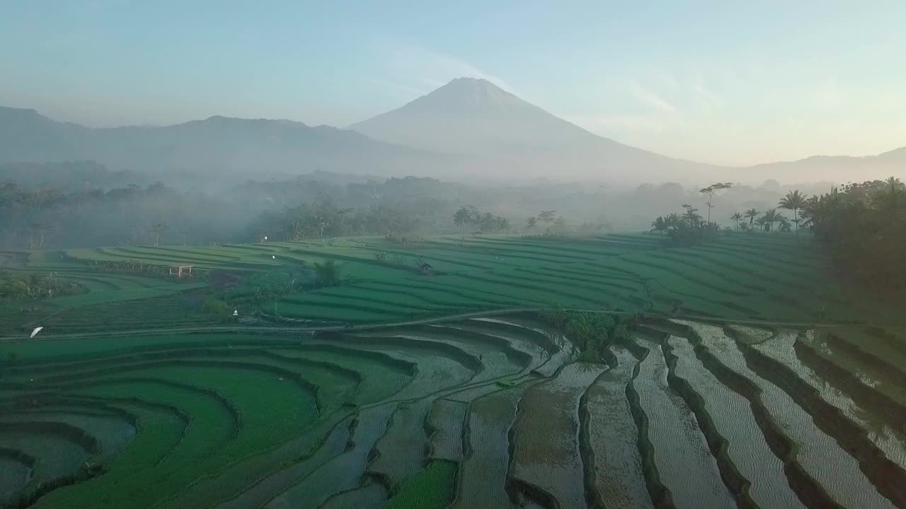 农田视频素材