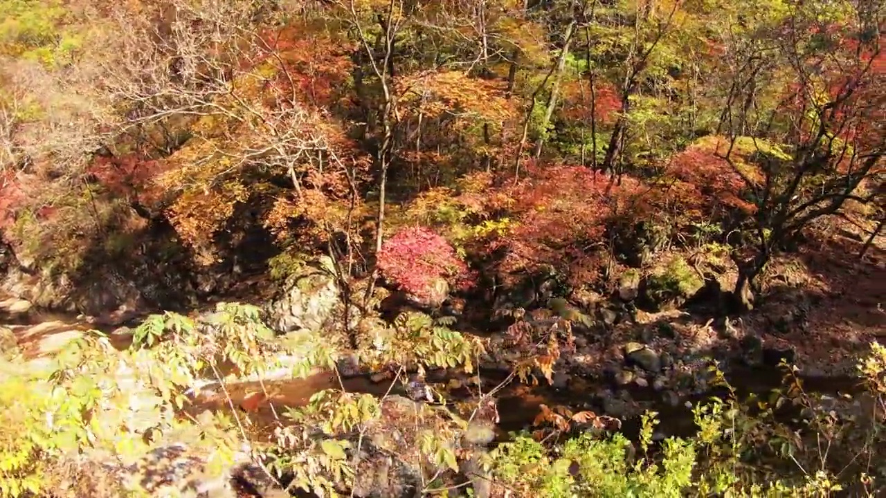 秋日Chiaksan山谷风景/韩国江原道原州市视频素材