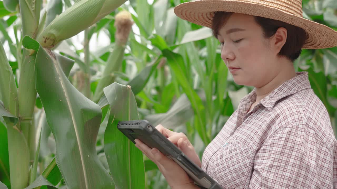 一名妇女在农场使用电子平板电脑视频素材