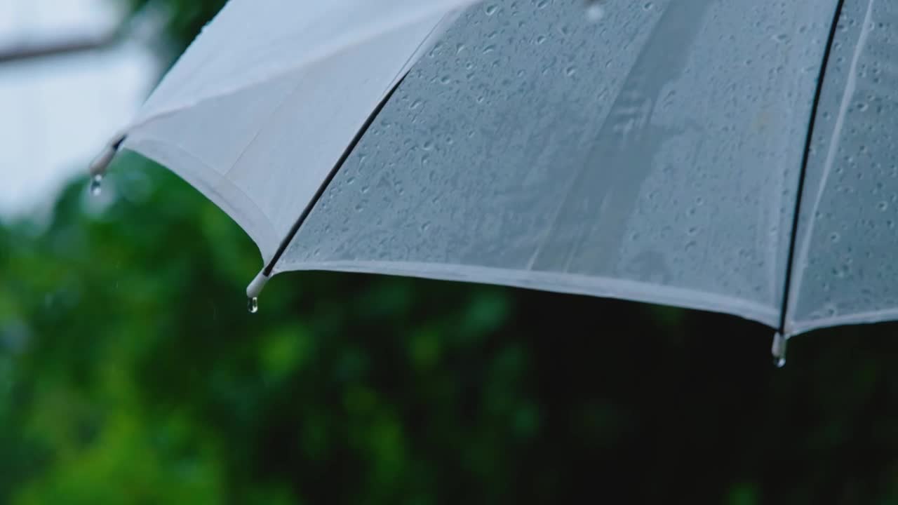 雨季的雨点落在伞上视频素材