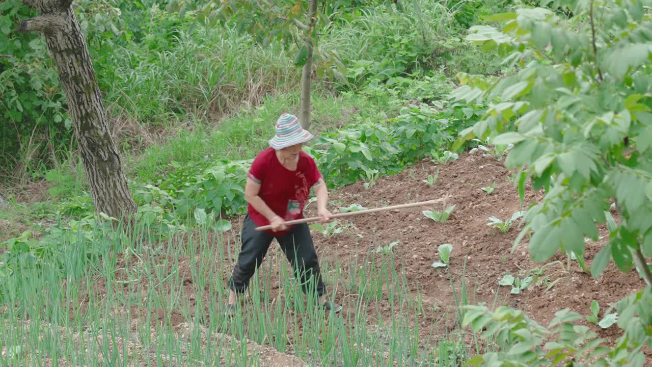 在农场工作的女性农民视频素材