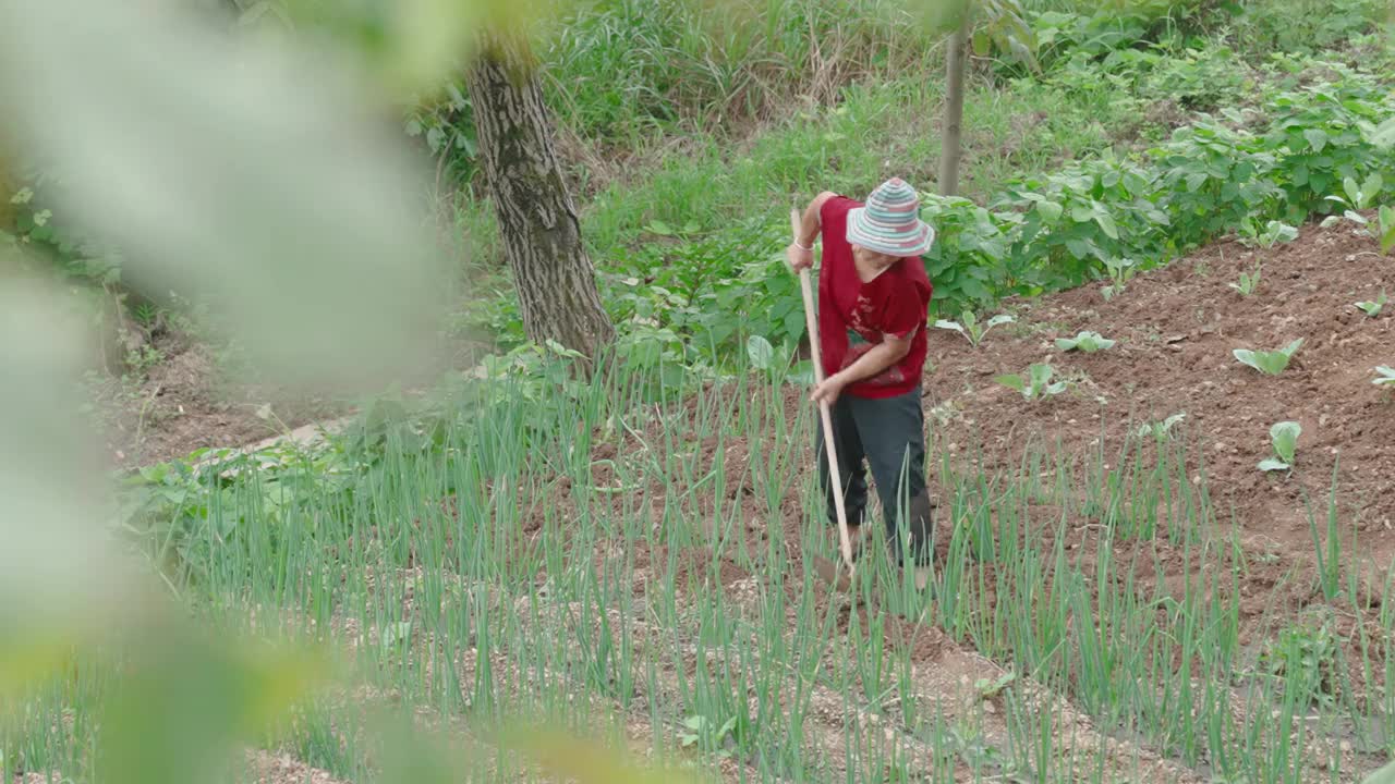 在农场工作的女性农民视频素材