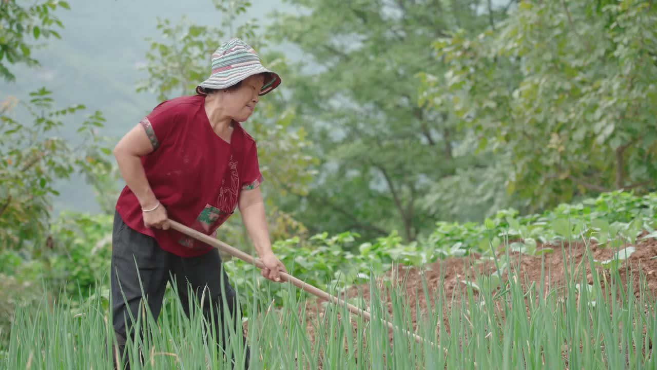 在农场工作的女性农民视频素材