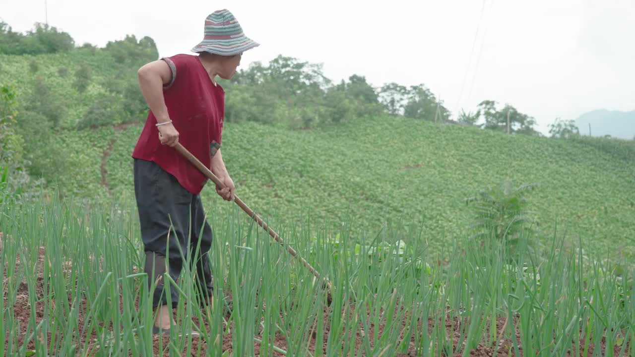 在农场工作的女性农民视频素材