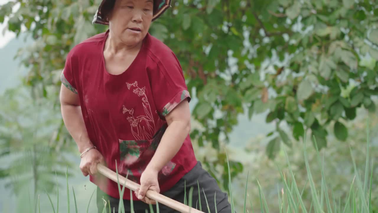 在农场工作的女性农民视频素材