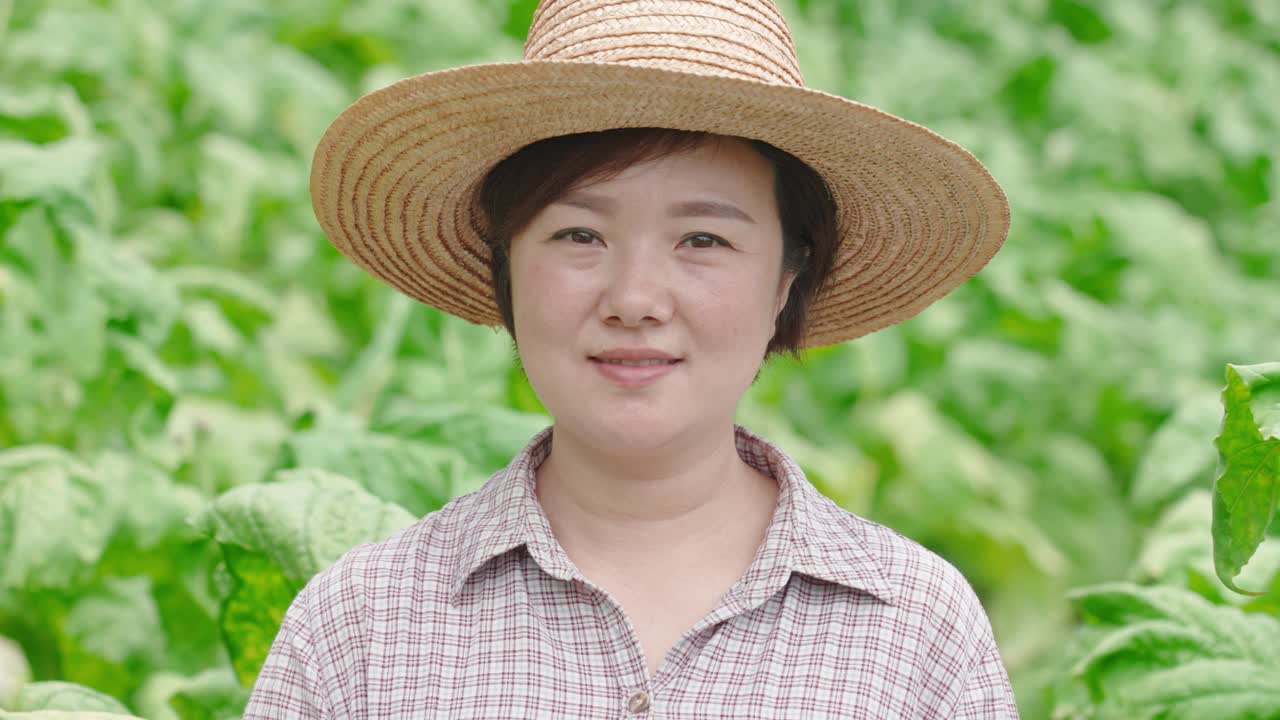 田里的女农民画像视频素材