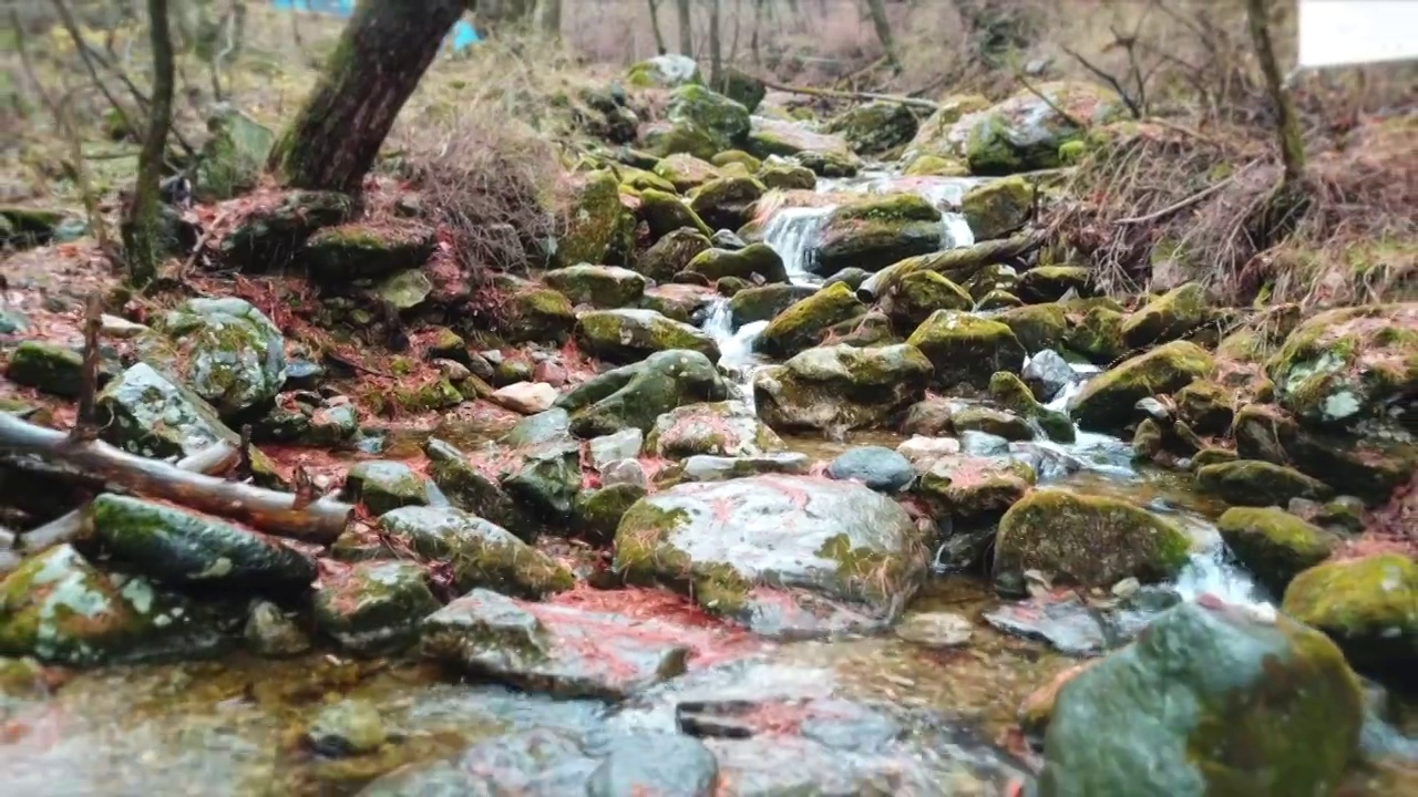 韩国江原道原州市，Chiaksan valley in spring视频素材