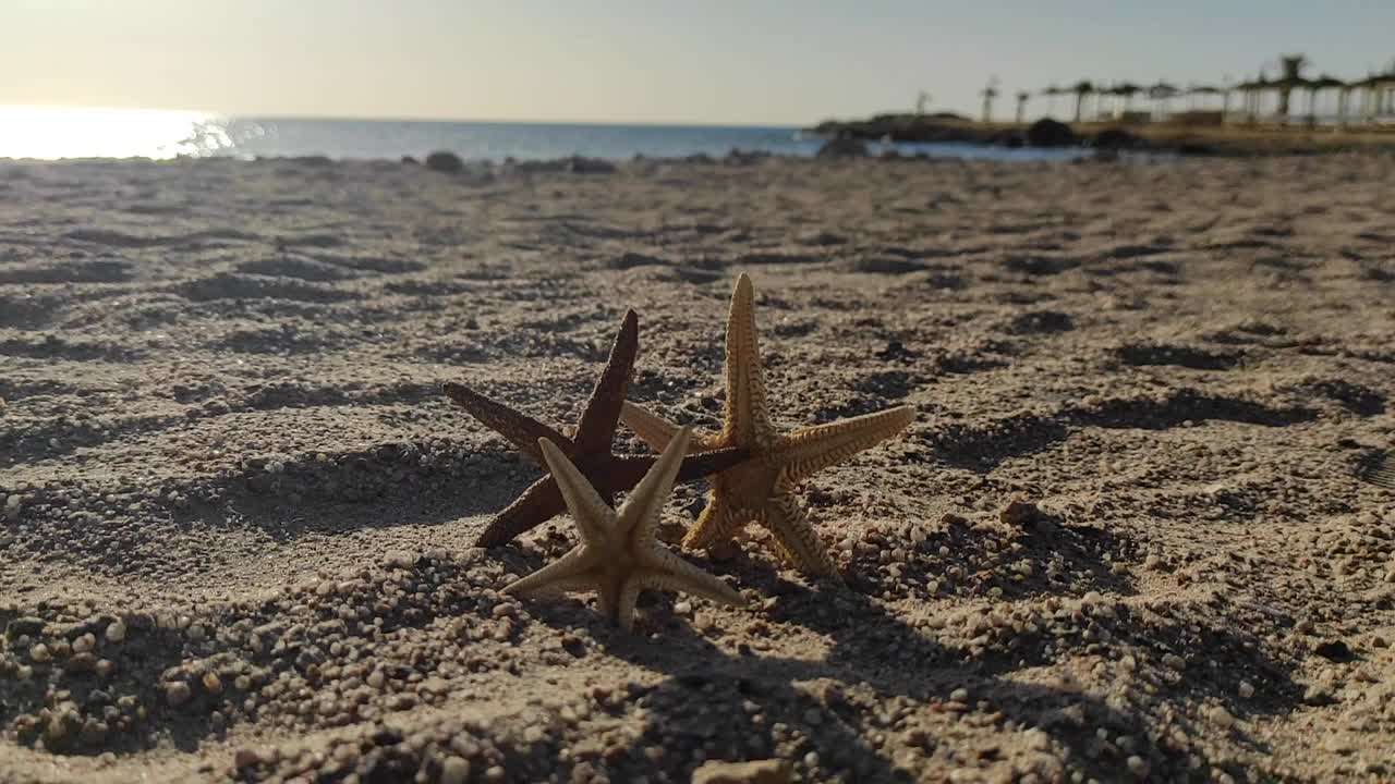 海星上的沙滩，夏日沙滩背景的旅游理念。视频素材