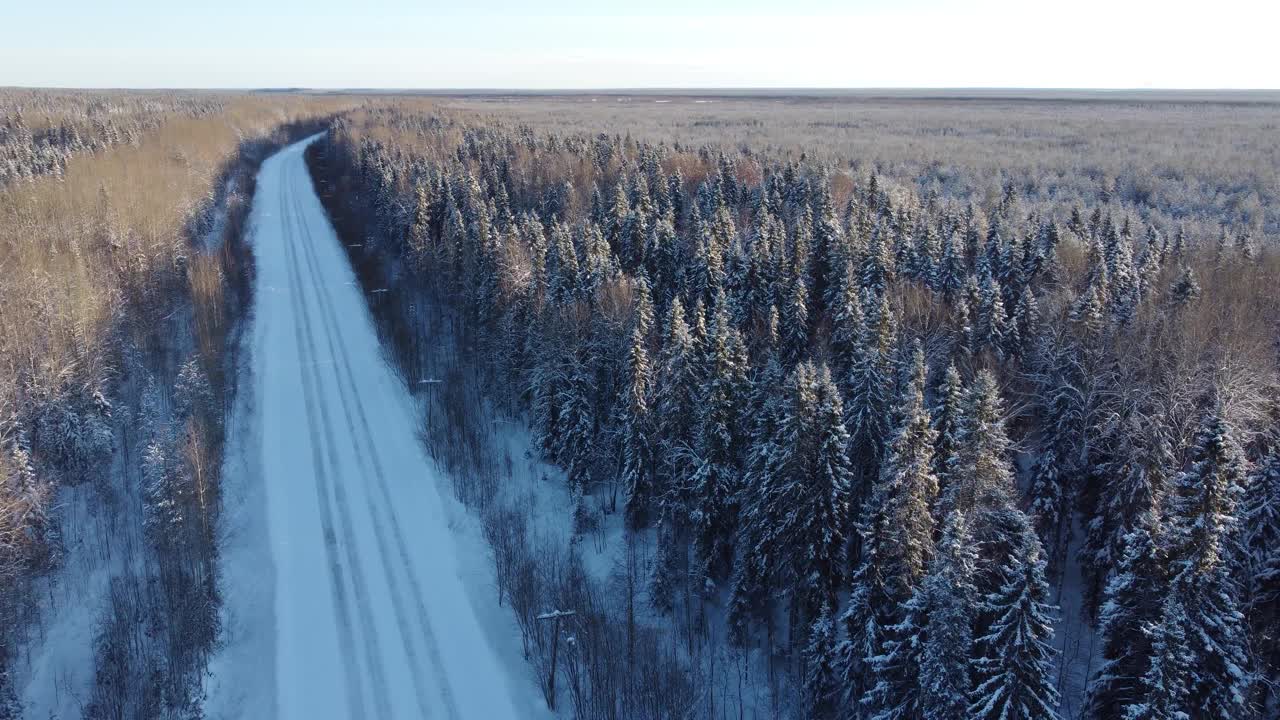 在冬天的一天，无人机从积雪覆盖的树木和森林中间的道路鸟瞰图。针叶林或西伯利亚冬季茂密的森林，4K全景视频下载