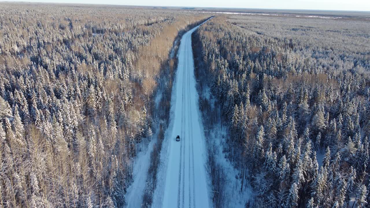 在冬天的一天，无人机从积雪覆盖的树木和森林中间的道路鸟瞰图。针叶林或西伯利亚冬季茂密的森林，4K全景视频下载