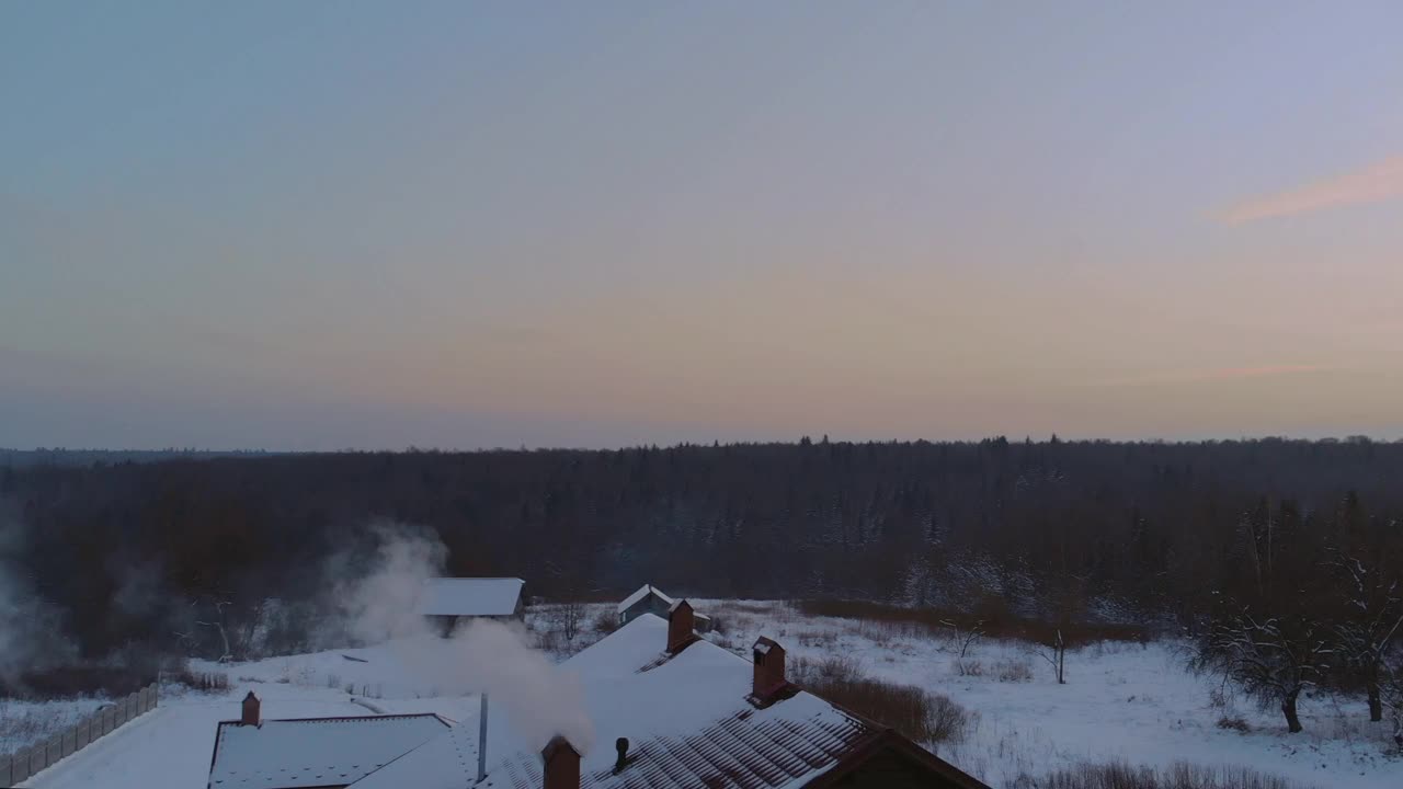 在一场大雪中，松树林被大雪覆盖视频素材