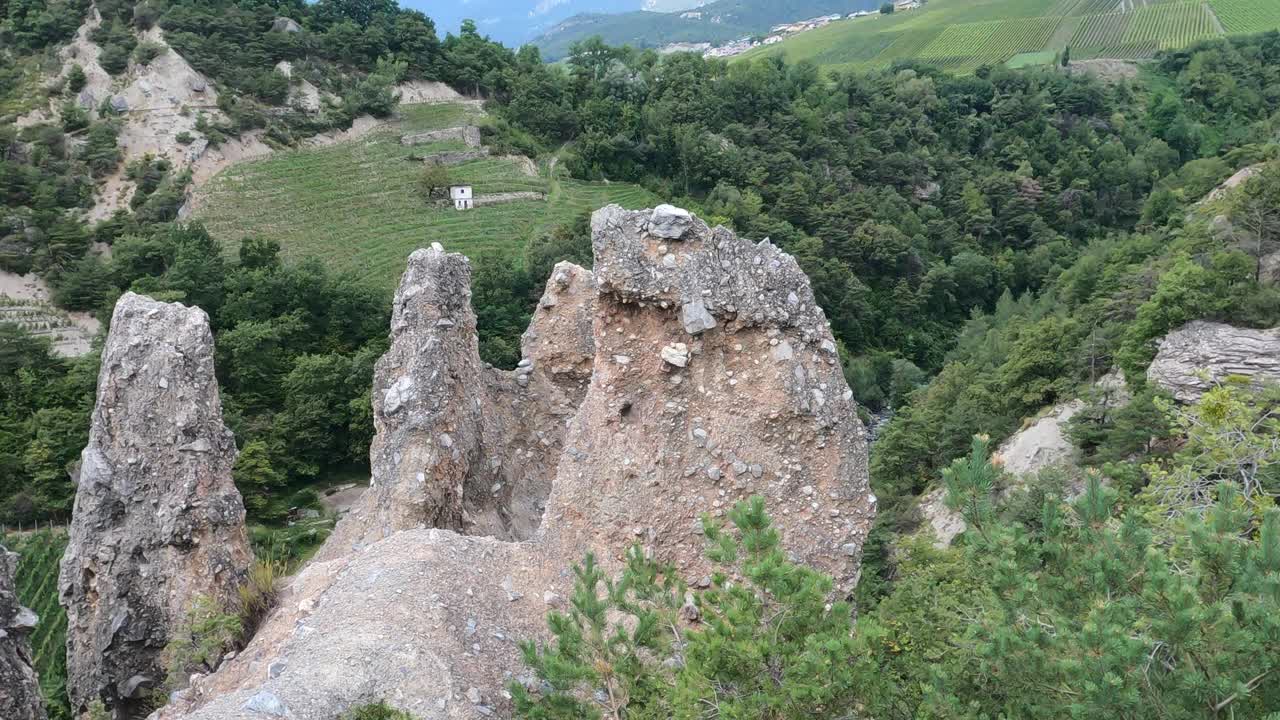 葡萄园和山脉的风景视频素材