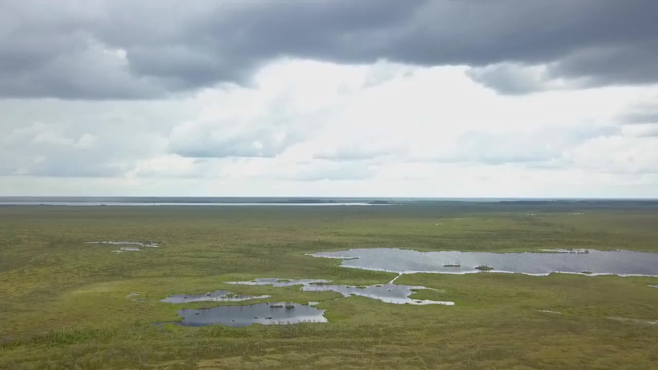 俯视图的沼泽景观。湖沼泽鸟瞰图。环境预订概念。视频素材