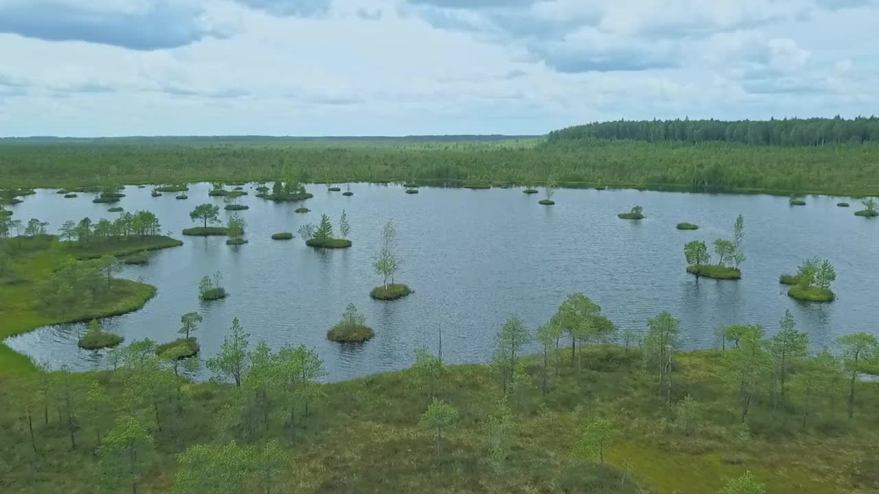 俯视图的沼泽景观。湖沼泽鸟瞰图。环境预订概念。视频素材