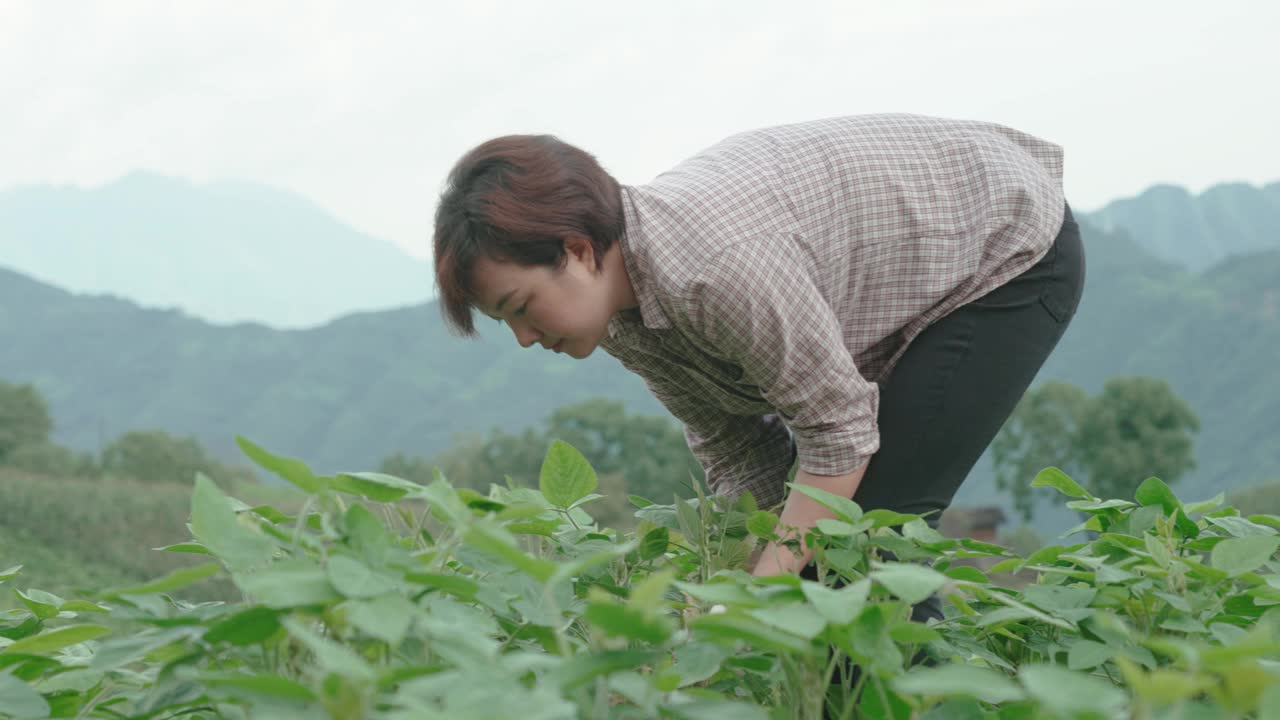 在农场工作的女性农民视频素材