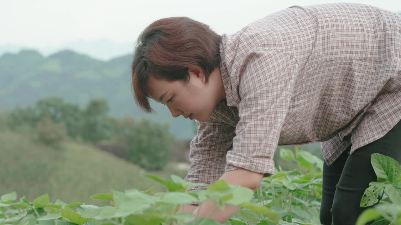 在农场工作的女性农民视频素材