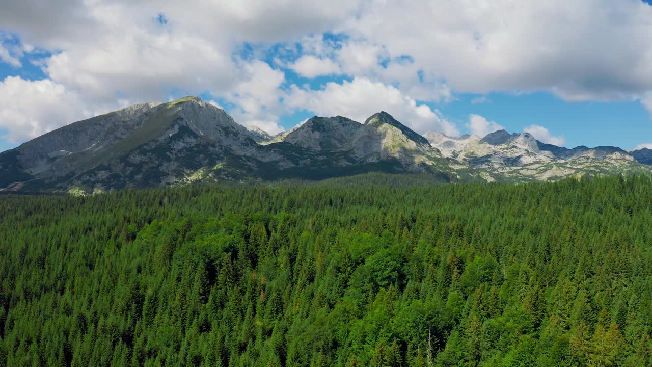 在黑山的杜米托，松林和深蓝色天空的夏季景观。无人机视角4K。视频素材