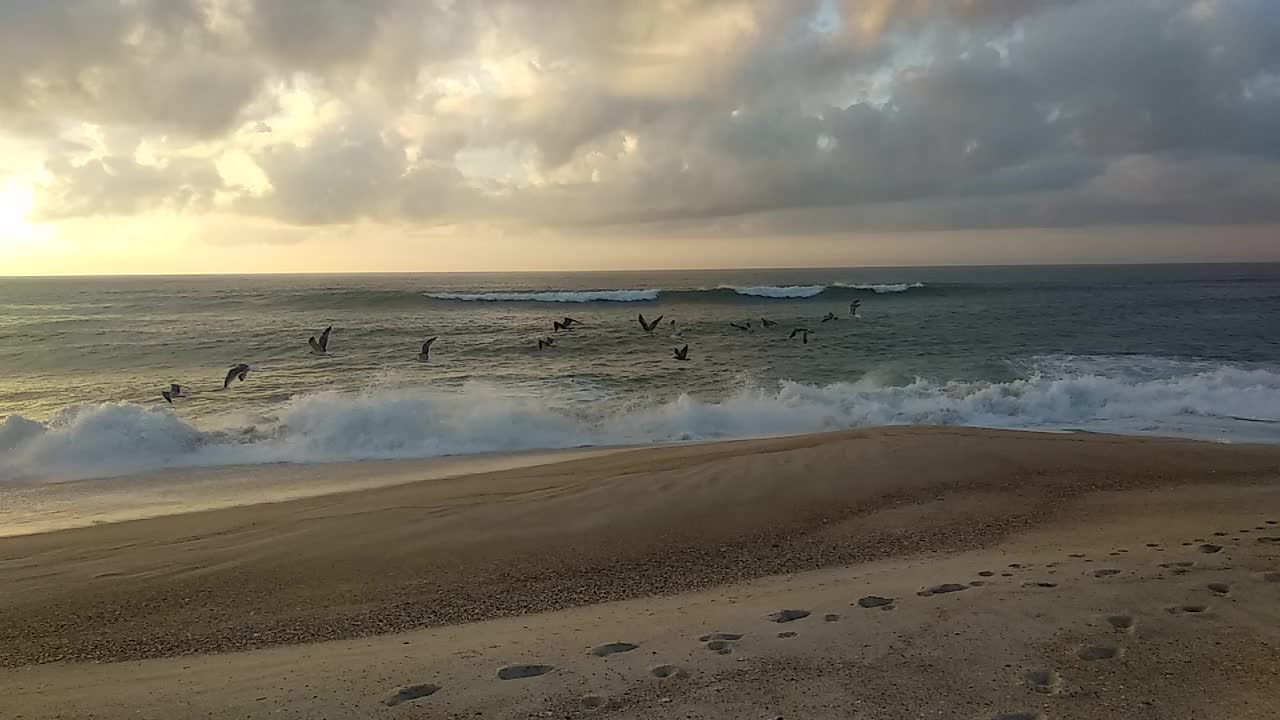 在宁静的海滩上，海鸥在日落时飞越大西洋视频素材