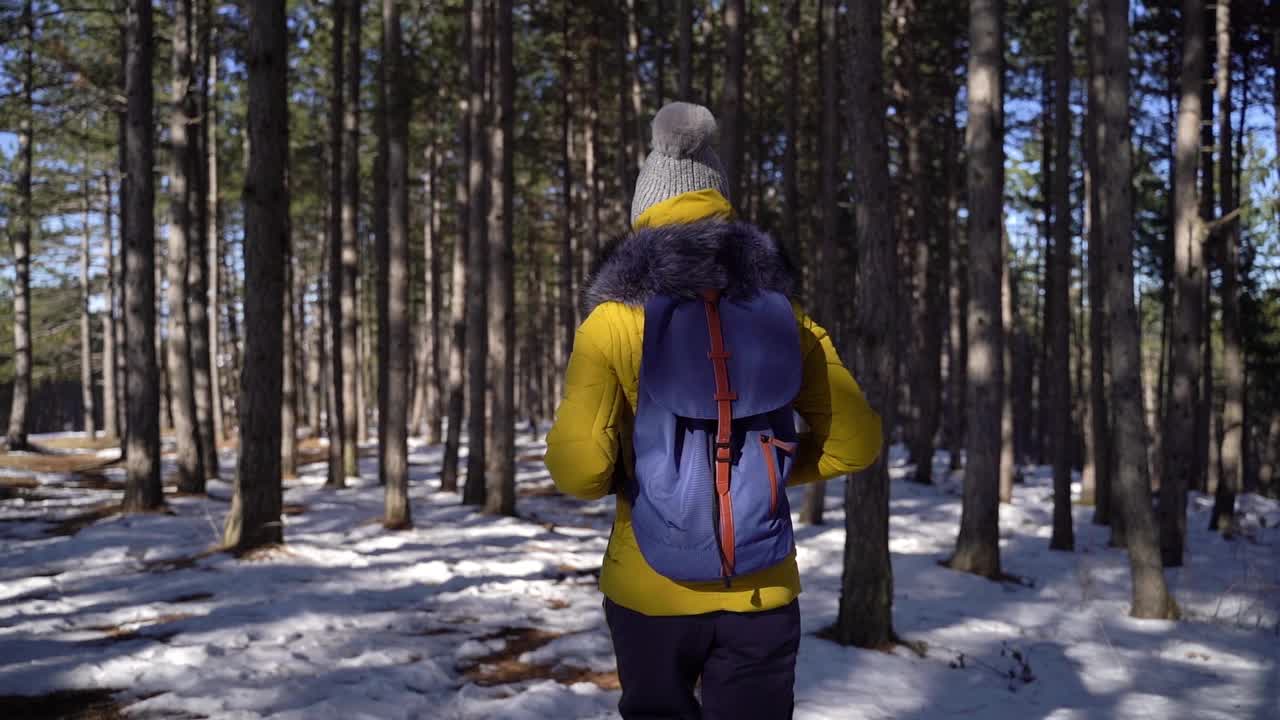 冬天在森林里徒步旅行的女人视频素材