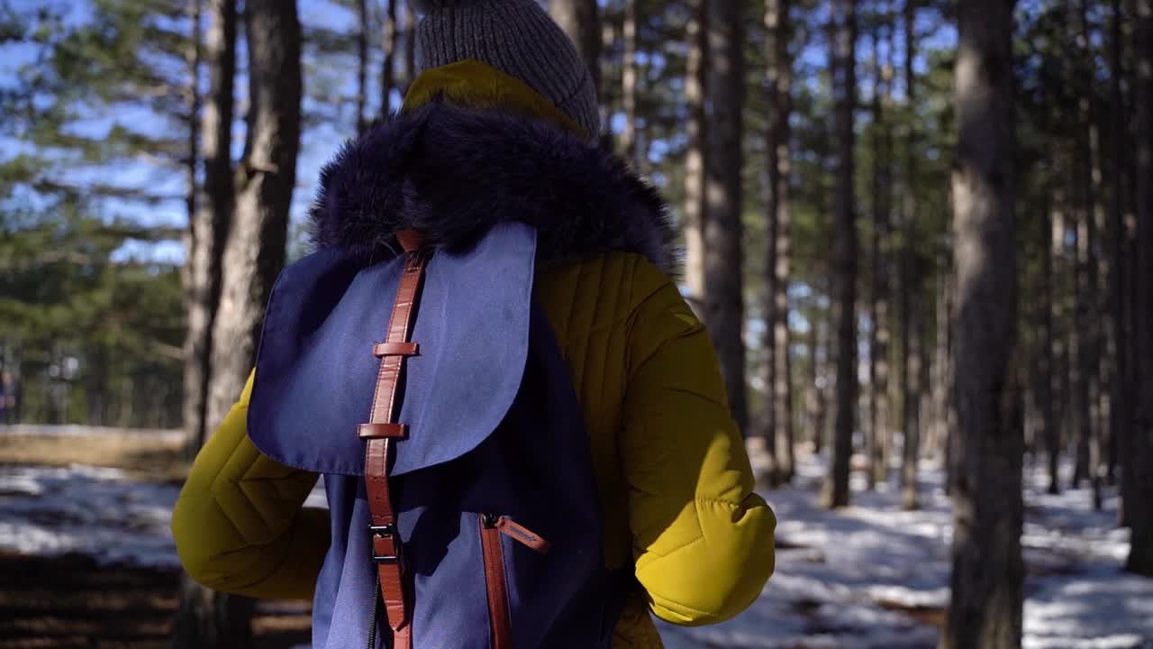 冬天在森林里徒步旅行的女人视频素材