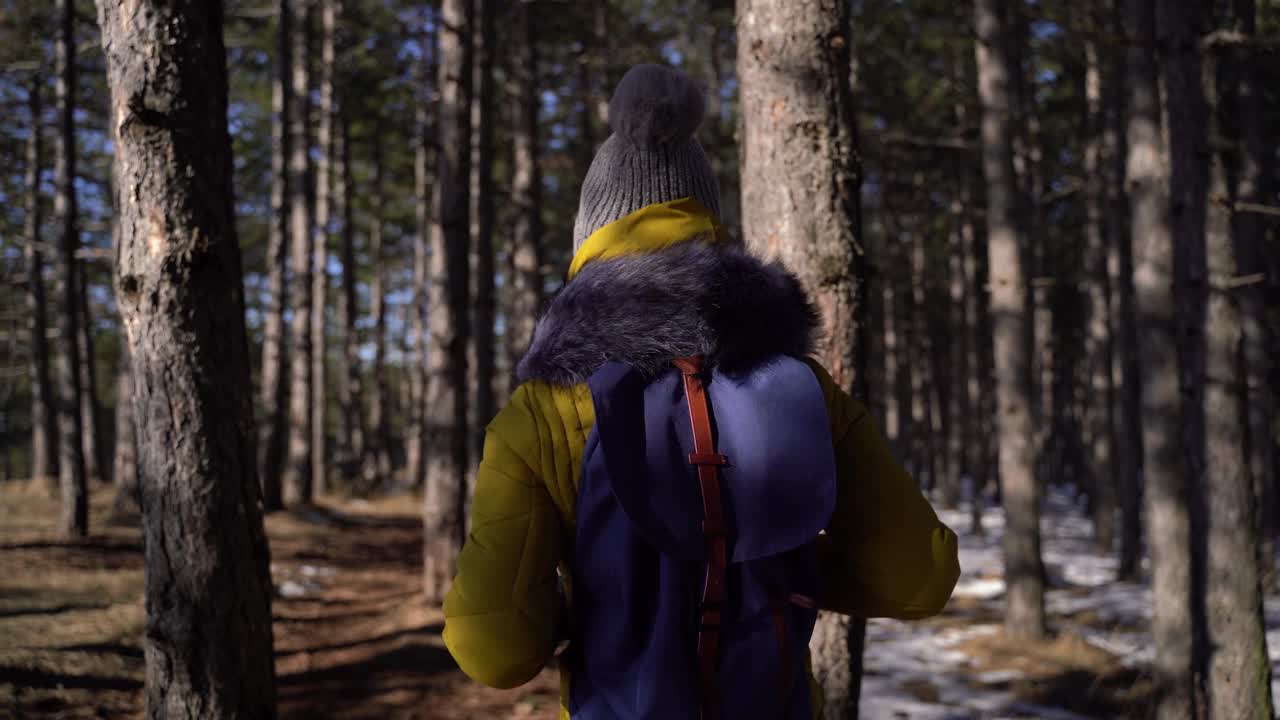 冬天在森林里徒步旅行的女人视频素材