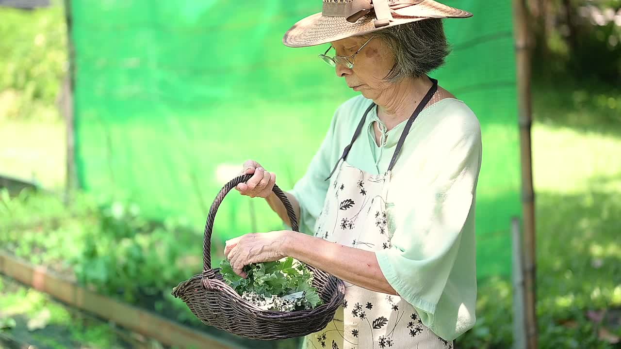 亚洲退休妇女在家种植有机蔬菜视频素材