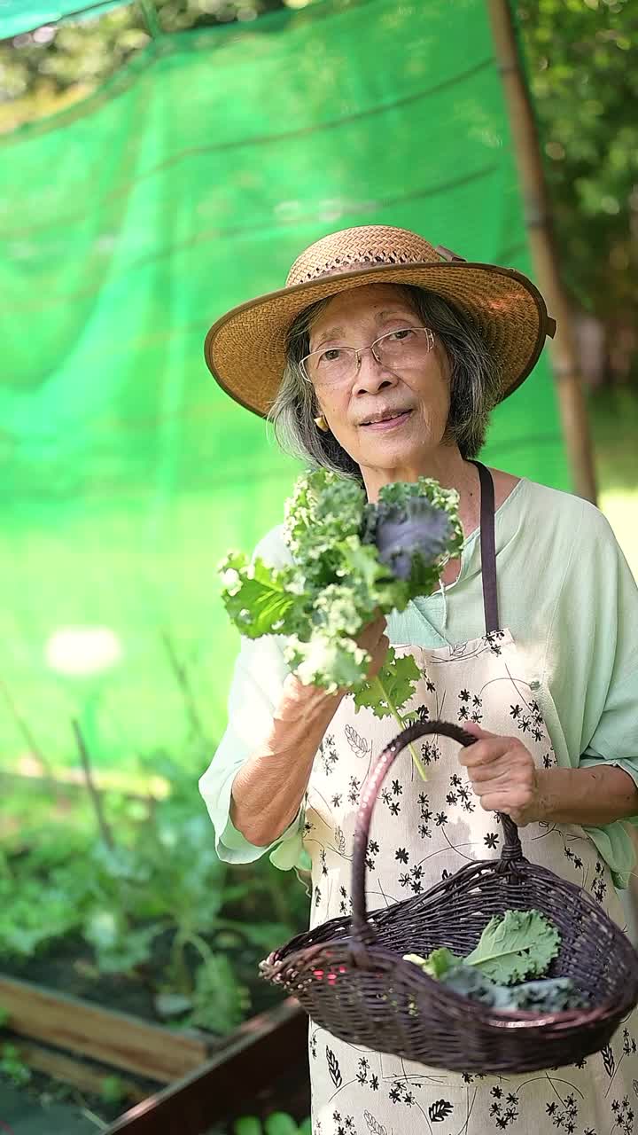 亚洲退休妇女在家种植有机蔬菜视频素材