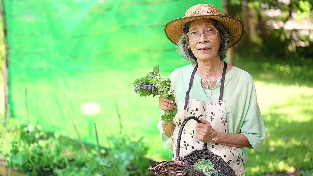 亚洲退休妇女在家种植有机蔬菜视频素材