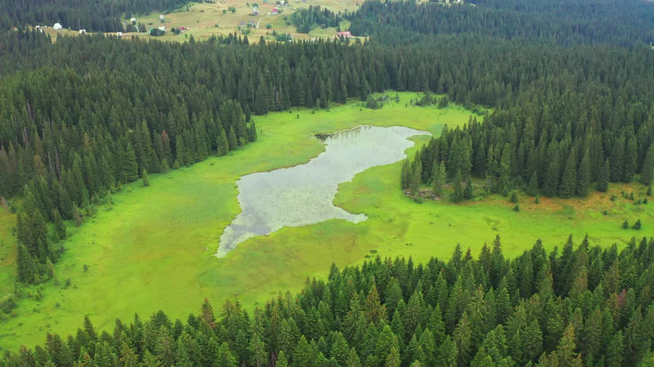 在湖周围松林和绿色盛开的睡莲在杜米托，黑山。视频素材