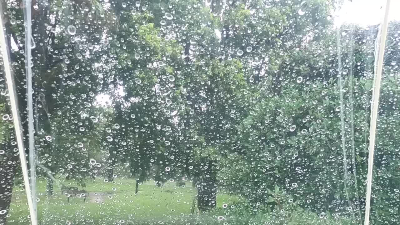 雨点从塑料伞上落下，慢动作视频素材