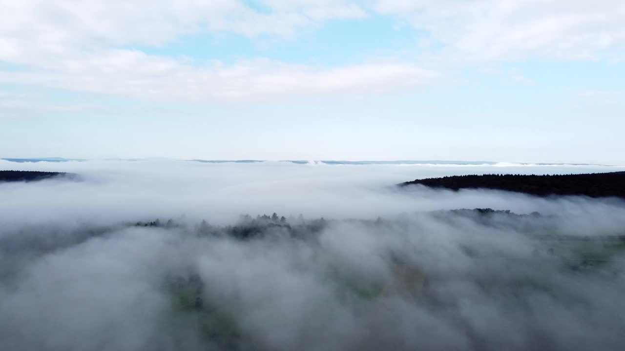 无人机在清晨的森林上空飞过秋雾，鸟瞰图视频素材