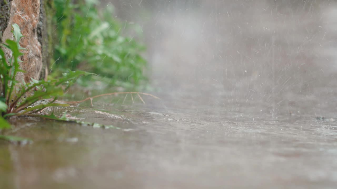 慢镜头雨视频素材