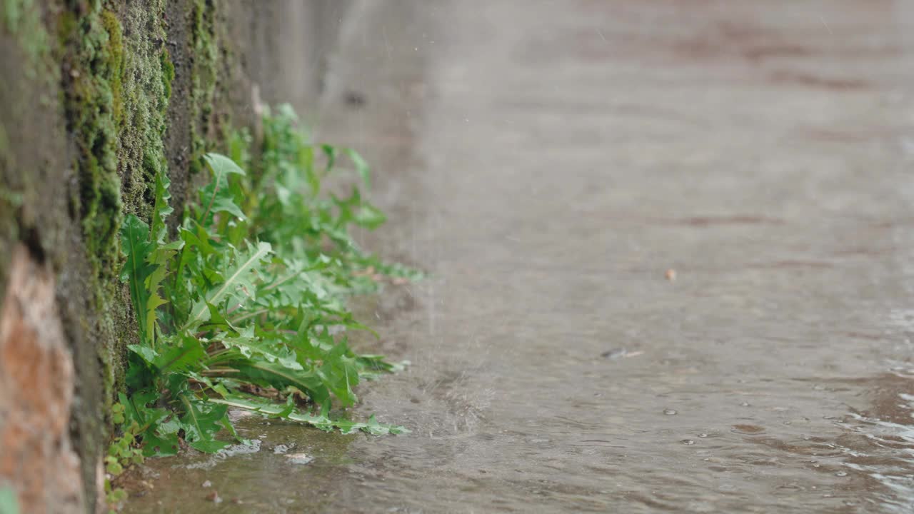 慢镜头雨视频素材