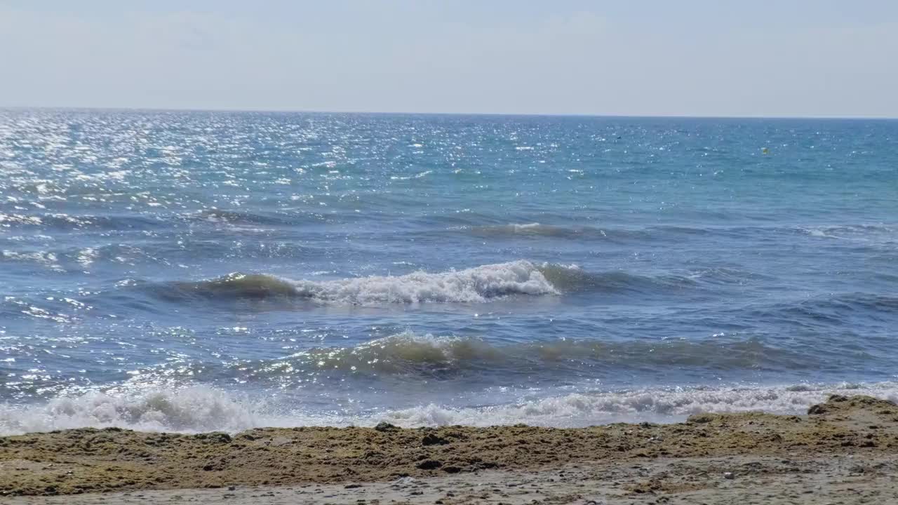 地中海海滩上的亚洲海草(Rugulopterix okamurae)，一种由大型船只从东向西运输的入侵物种。视频素材