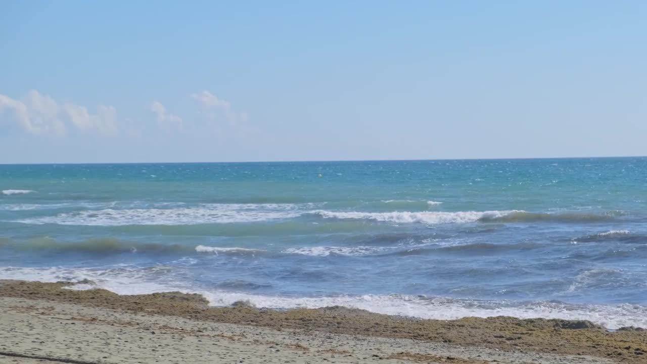 地中海海滩上的亚洲海草(Rugulopterix okamurae)，一种由大型船只从东向西运输的入侵物种。视频素材