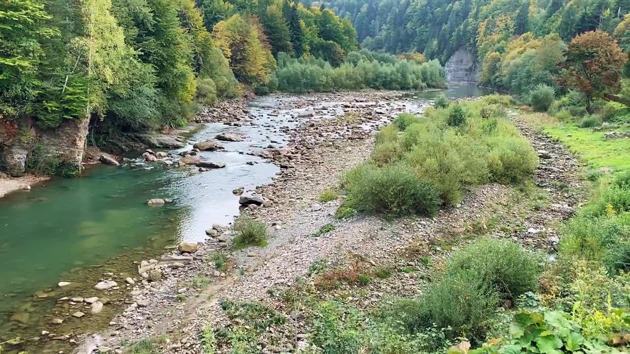 在乌克兰喀尔巴阡山脉，秋天的山河在美丽的森林中流淌。自然和旅游的概念视频素材