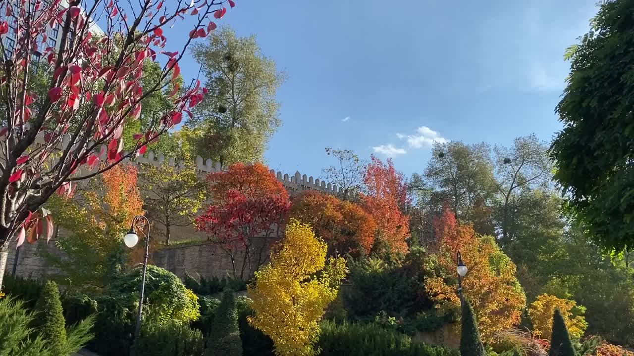 秋天公园里五颜六色的树木，树叶映衬着蓝色的狡黠。秋天美丽的颜色红、黄、金、橙、紫、绿的叶子。秋天田园诗般的自然景观。视频素材